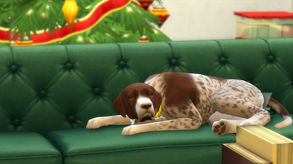 Itsmeegeorgee's tweet photo. In my recent video I played a Winterfest day with my current household and here are some screenshots from it ❤✨ like COME ON these are so cute!!! 
Check out the video for some wholesome content, it was so fun to record: https://t.co/zcq5eUlM8a
#TheSims4 #currenthousehold https://t.co/VI1ifq44cw