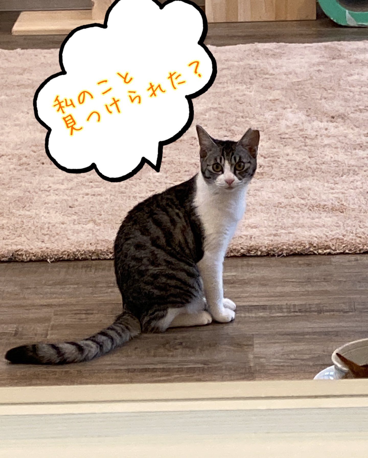 猫総合相談センターハッピータビー たくさんの方にお越しいただき ありがとうございました 明日はお休みですが 木曜日 営業いたします 八尾市中田 ハッピータビー 保護猫カフェ スペイクリニック併設 T Co Is86z9g5kk Twitter