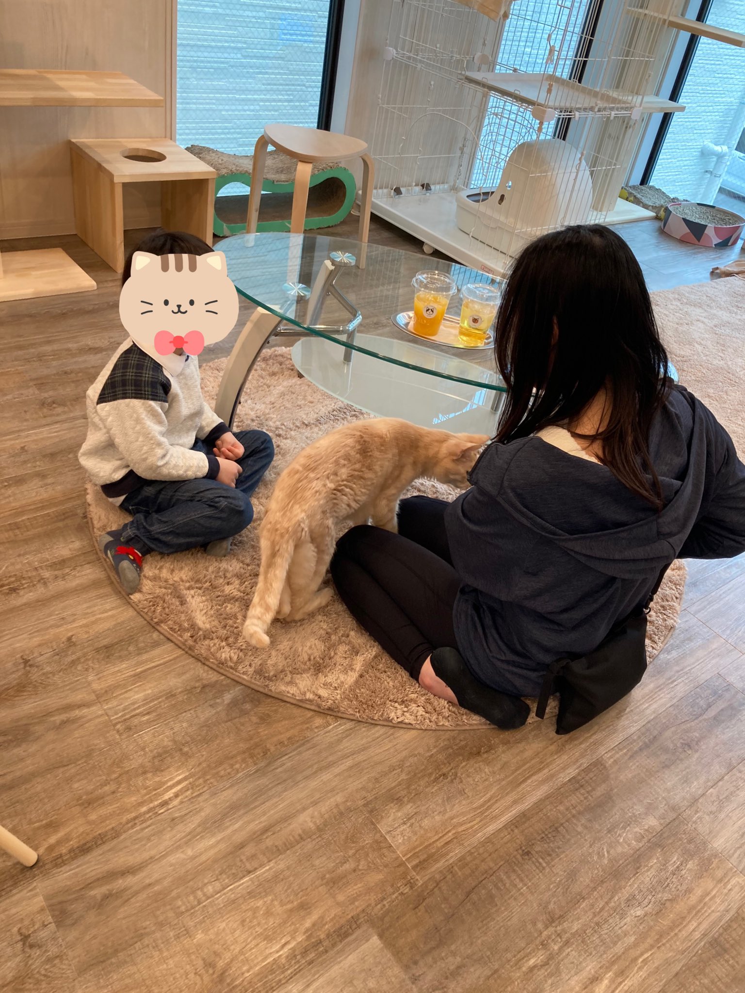 猫総合相談センターハッピータビー たくさんの方にお越しいただき ありがとうございました 明日はお休みですが 木曜日 営業いたします 八尾市中田 ハッピータビー 保護猫カフェ スペイクリニック併設 T Co Is86z9g5kk Twitter