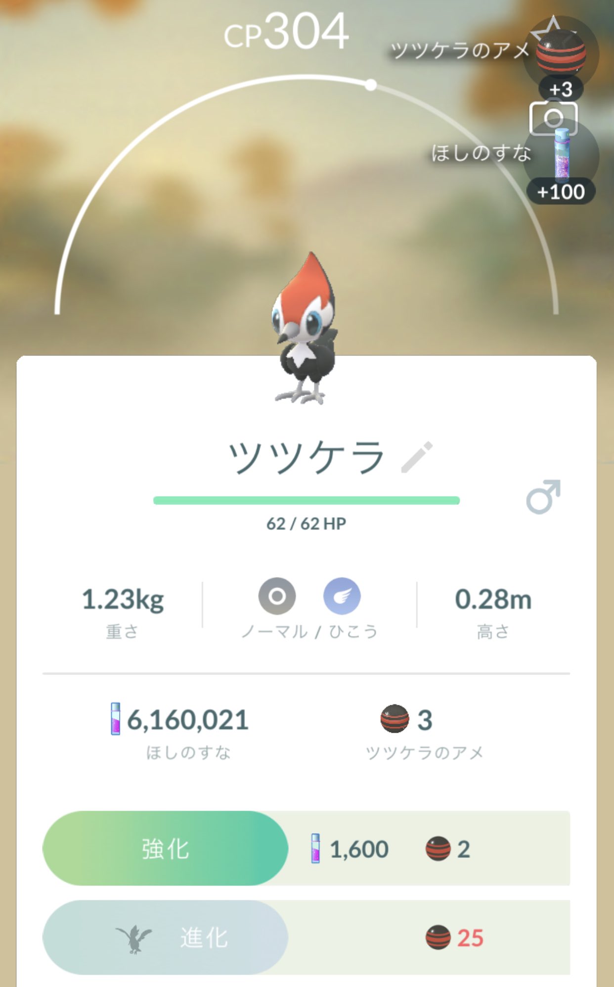 K S Dee ケイズ ディー 歌うロボット工学者 Sswで空想大学 京都観光文化大学 配信 ポケモンgo日記 878 ツツケラを捕まえた きつつきポケモン 秒間16連打 で 木を 突き 穴を ほる 開けた 穴は 餌を 仕舞う 貯蔵庫や 巣に 使う 現在