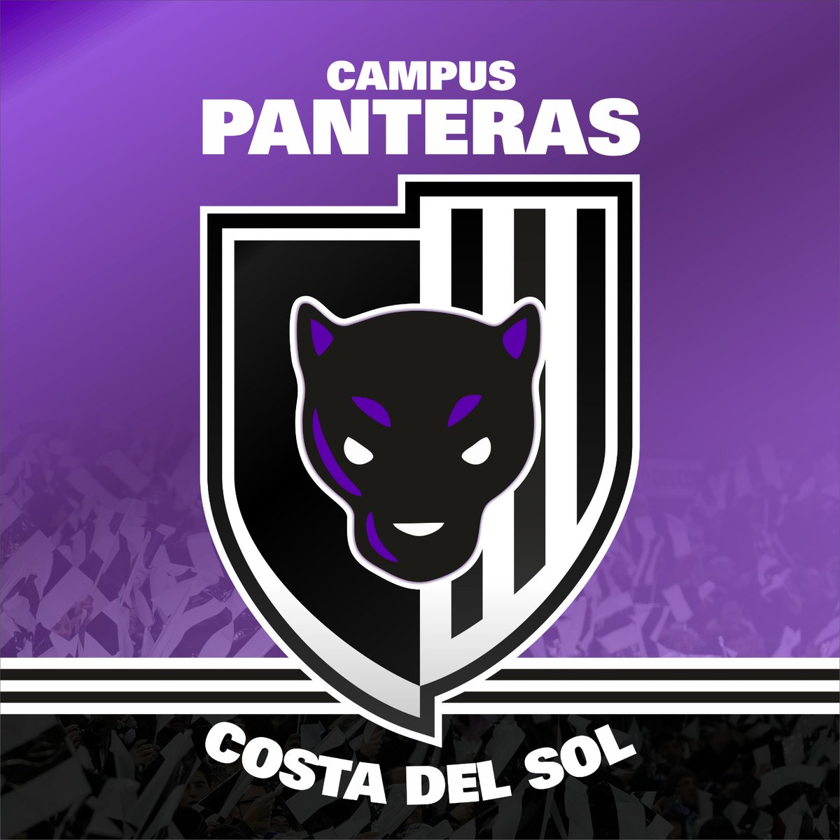 ⚫ ⚪ ¡Nace el #CampusPanteras! ⚫⚪

📅 4-8 julio
📍Colegio San José (Málaga)
🤾 Niñas y niños
✅ 7-15 años

‼️ Directora técnica <a href="/SilviaArderius/">Silvia Arderius</a> 

🎟️ ¡Consulta todas las opciones y precios!

💥 ¡Descuentos por reserva anticipada!

📲 TODA LA INFORMACIÓN bmmalagacostadelsol.com/campus