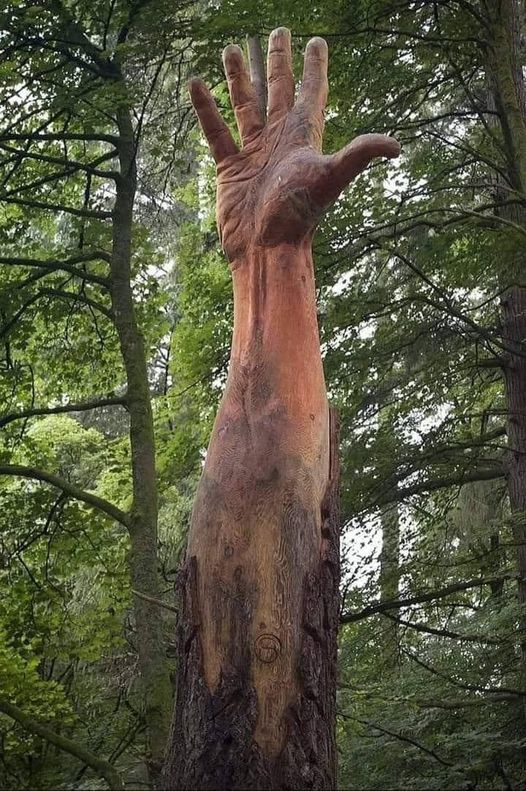 The tallest tree in Wales got damaged by a storm and was supposed to be cut down, instead chainsaw artist Simon O'Rourke found a better solution to symbolize the tree’s last attempt to reach the sky.