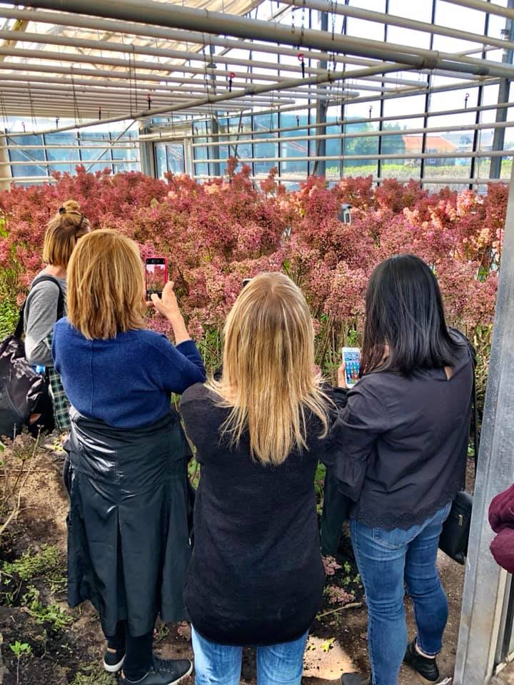 Lekker! Nog een paar plekjes voor de #SeringenXperience op 5 maart. Nu de #vrouwendag in Rusland onbereikbaar is voor de Aalsmeerse #seringenkweker zijn ze wel bereikbaar voor ons as. zaterdag. Afvaart 13.30 uur #HistorischeTuin Aalsmeer
Wel even opgeven graag.