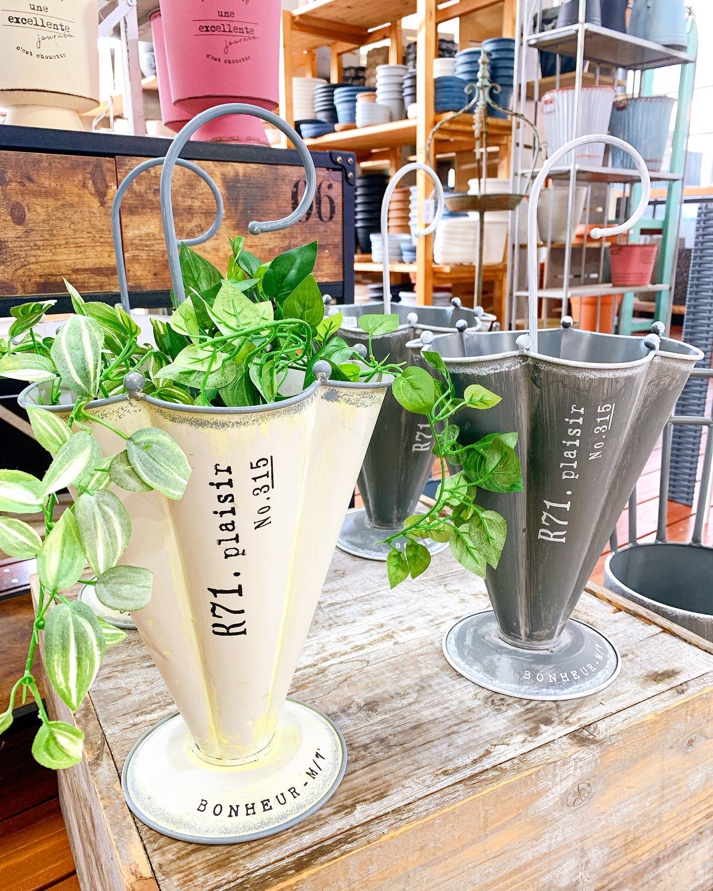 花のまちころぼっくる ブリキプランター入荷 ﾟ 傘のデザインがとてもかわいい 色々な季節のお花をこれからたくさん植えられます ブリキプランター 可愛いプランター ガーデン雑貨 フラワーショップ 花のある暮らし 長野市 長野市花屋 花の