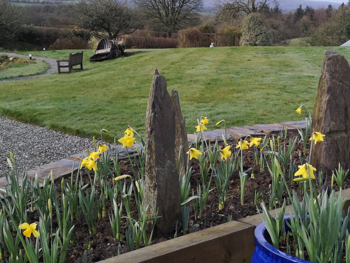 aybpembs's tweet photo. Dydd Gŵyl Dewi hapus i chi gyd oddiwrth Ael y Bryn.
A happy St David's Day to you all from Ael y Bryn.
@visitwales
@VisitPembs
@AARatedTrips
@GoodHotelGuide
@newportpembs 
#DyddGwylDewi #StDavidsDay #BandB #Pembrokeshire #Wales
@VisitBritainPR https://t.co/H5NIUy4jx5