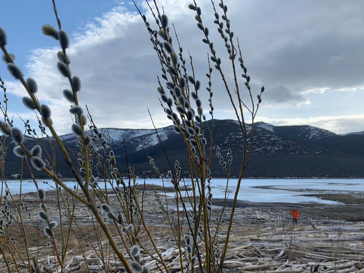 Элька Зайнулина tweet media