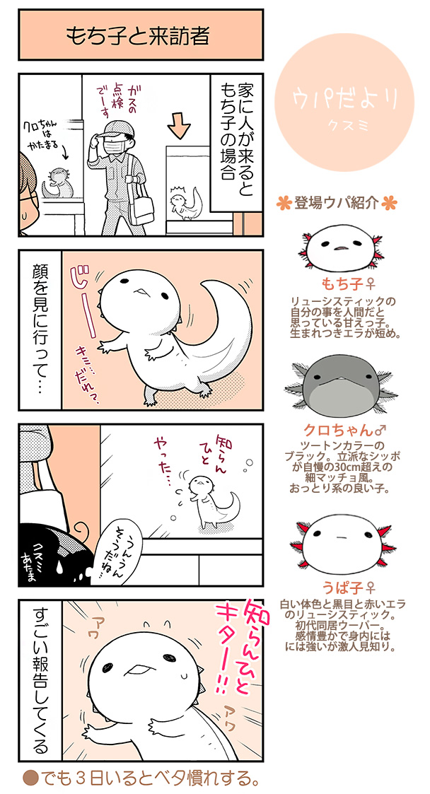 クスミ 楠見らんま 百合とかウーパールーパーとか Nekoyuku Twitter