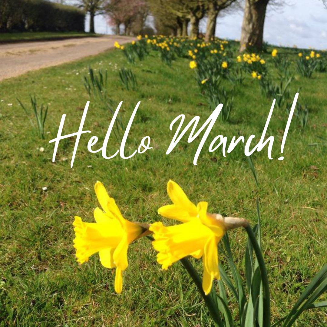 Well the daffodils are popping up,  this can only mean one thing...... Spring is starting to arrive at Manor Farm!!

#hellomarch🍃 #springiscoming #manorfarm #allmanorofevents #suffolkweddingvenue #eventsvenue #henleysuffolk