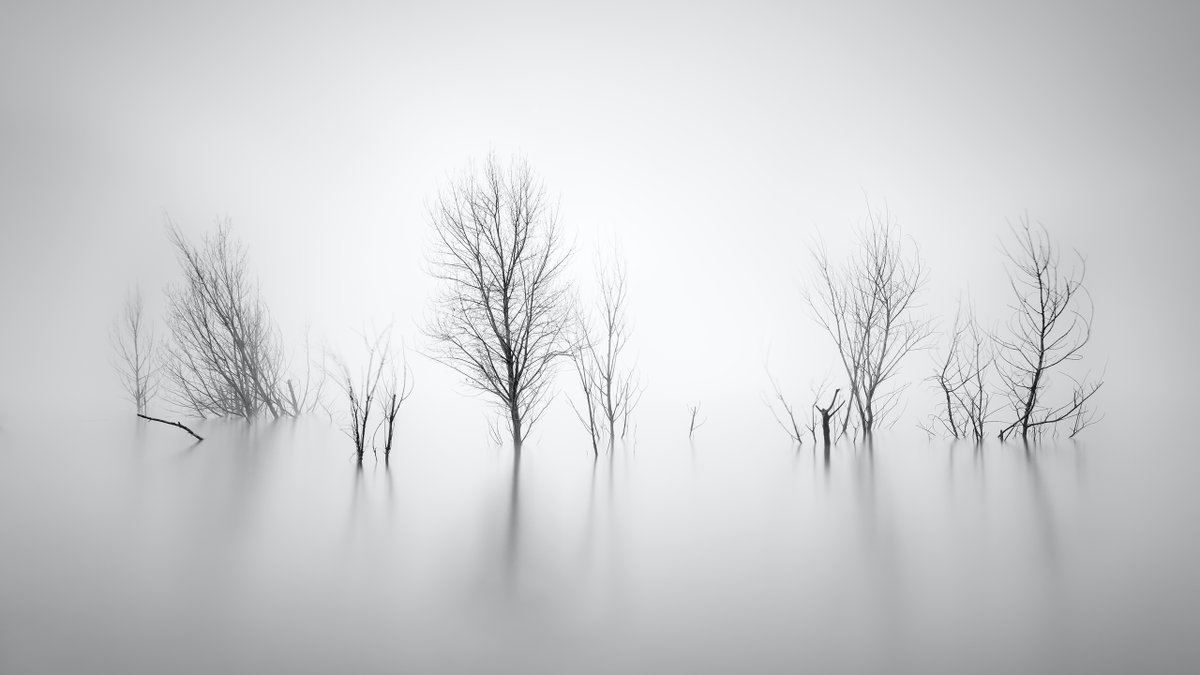 gm

Winter vibes again 🥶