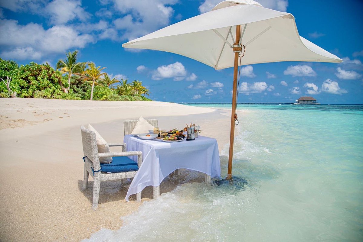 Mӧvenpick Resort Kuredhivaru Maldives tweet media