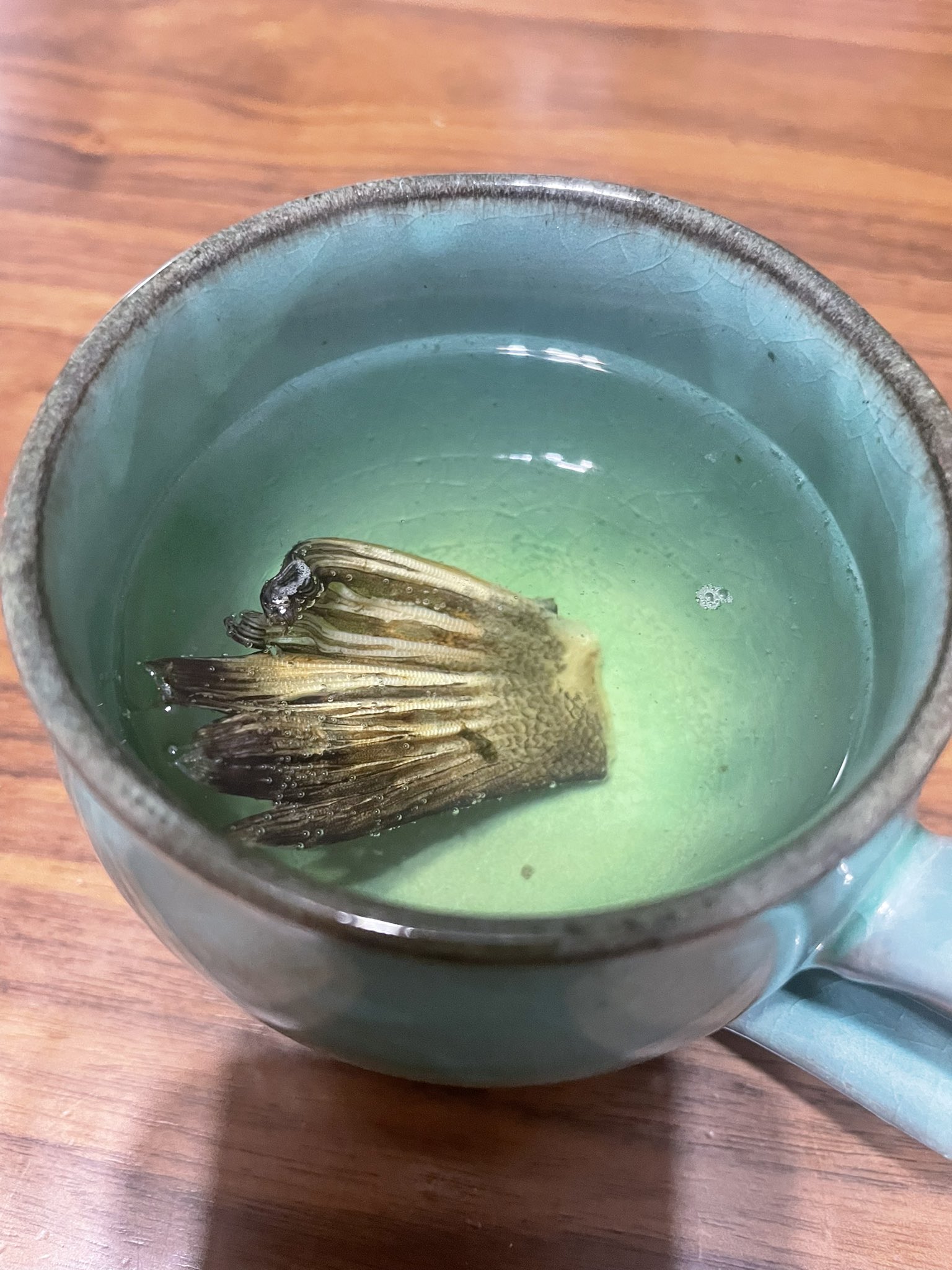 反橋宗一郎 Pa Twitter 今まで魚のヒレを捨ててた自分を戒めたい ちょー簡単じゃないかヒレ酒のヒレ作の こんなに簡単にこんなに美味しい ヒレ酒が飲めるなんて これから魚釣ったらヒレは干そう やっばいうんめぇ T Co Yzjby51zkk Twitter