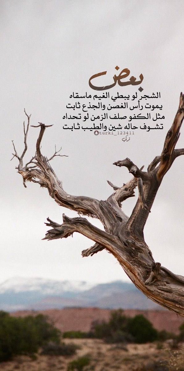 Abdulmo77913046's tweet photo. https://t.co/MovDteCRjJ