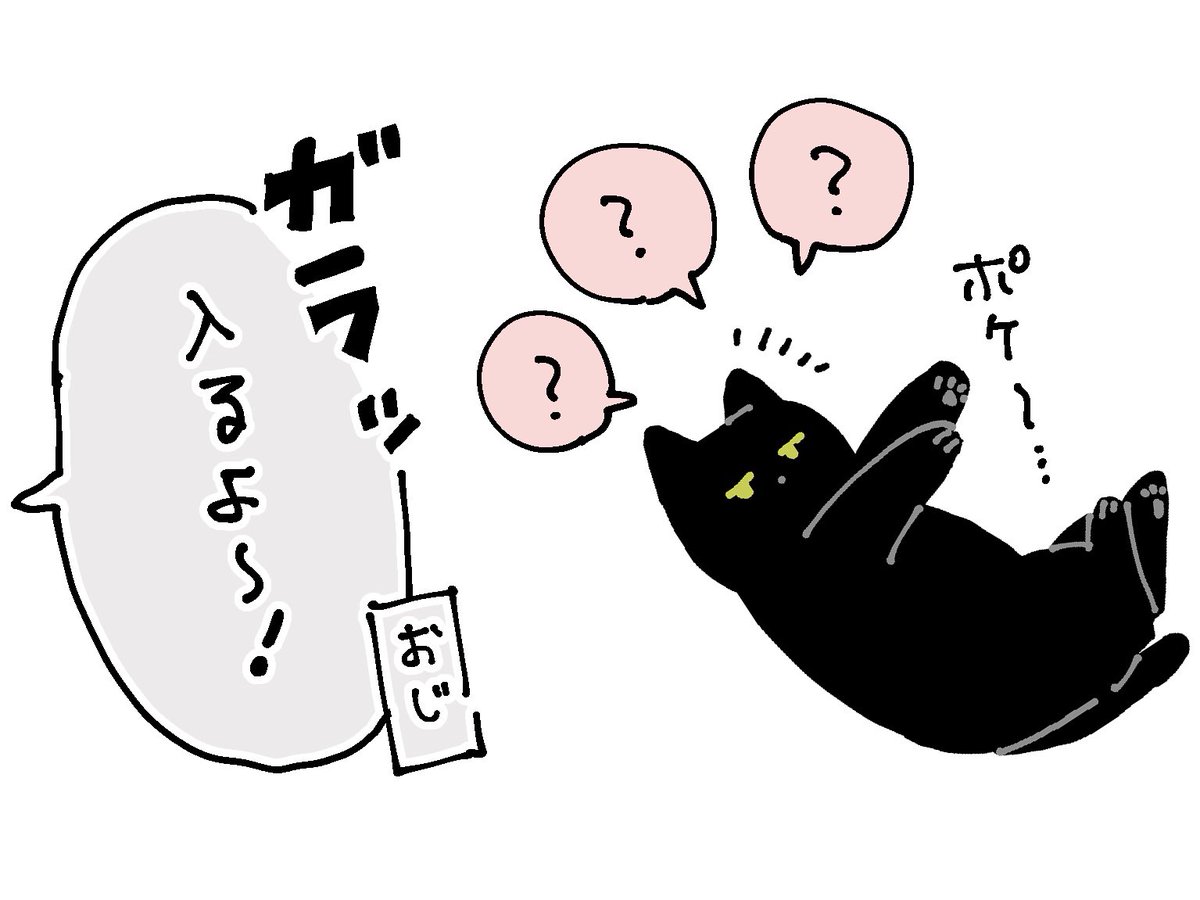 今日、めったにうちに来ない叔父が急に訪れてきて、
ボーッと寝てたろんさんが飛び起きたあとただ静かに小刻みに震えながら上目遣いで叔父を見てて「キミは逃げるとかうなるとかシャーって言うとか、そういうのはできない子なのね…」ってなった 温厚すぎボーイろんさん… 