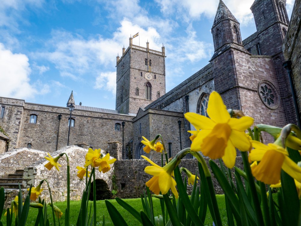 Happy St David's Day everybody from the Celtic Haven team! ❤️🏴