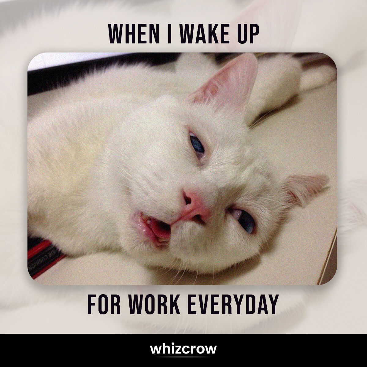 whizcrow's tweet photo. Them: Ealy to bed, early to rise makes you healthy, wealthy, and wise.
Me: Where is early? Where is the bed? Where to rise? Why am I not able to close my eyes?
#whizard #goaldigger #whizcrow
#sleepdeprived #digitalmarketing #digital #media #wakeup #work #nosleep #whereisfriday https://t.co/LbEsRoNhTH