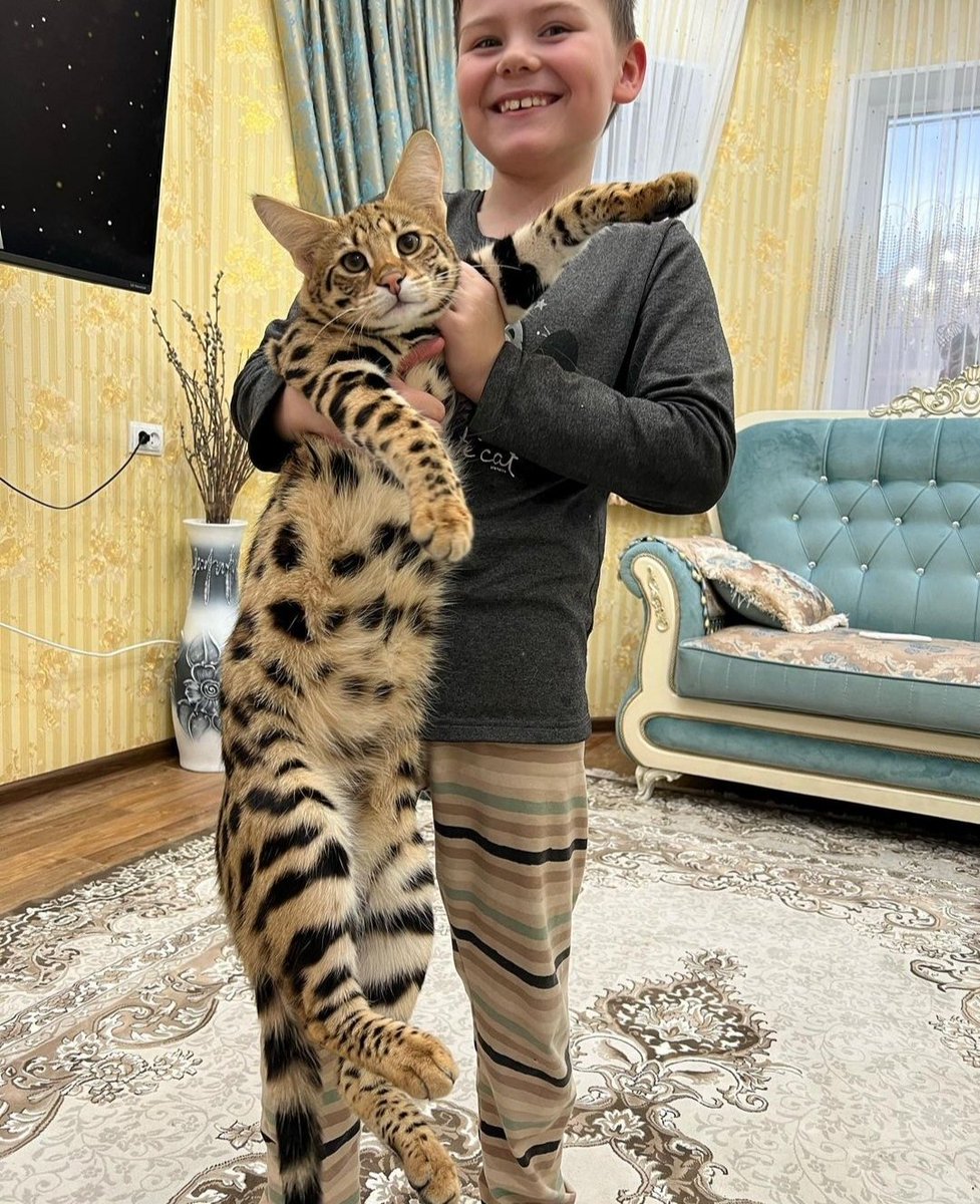 CatsFanus's tweet photo. 😍😍😍
Instagram: https://t.co/juKHobnbKK https://t.co/PtybJCA4tj