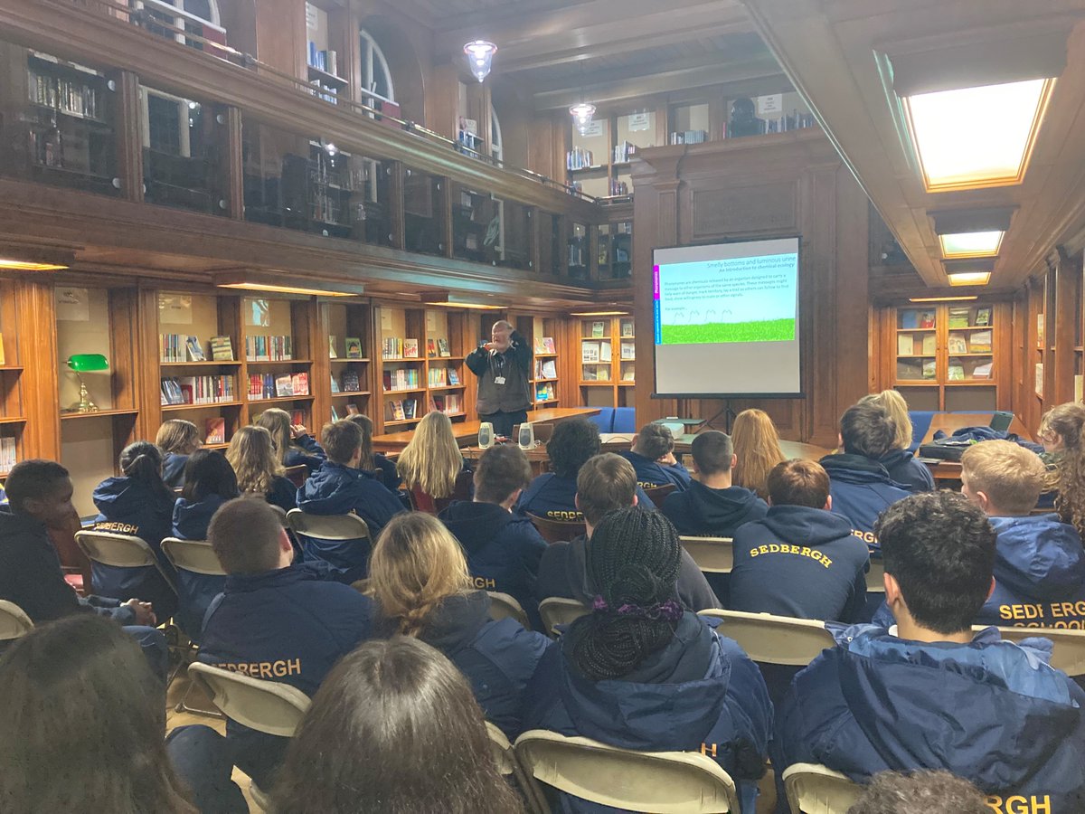 SedberghPhoenix tweet media