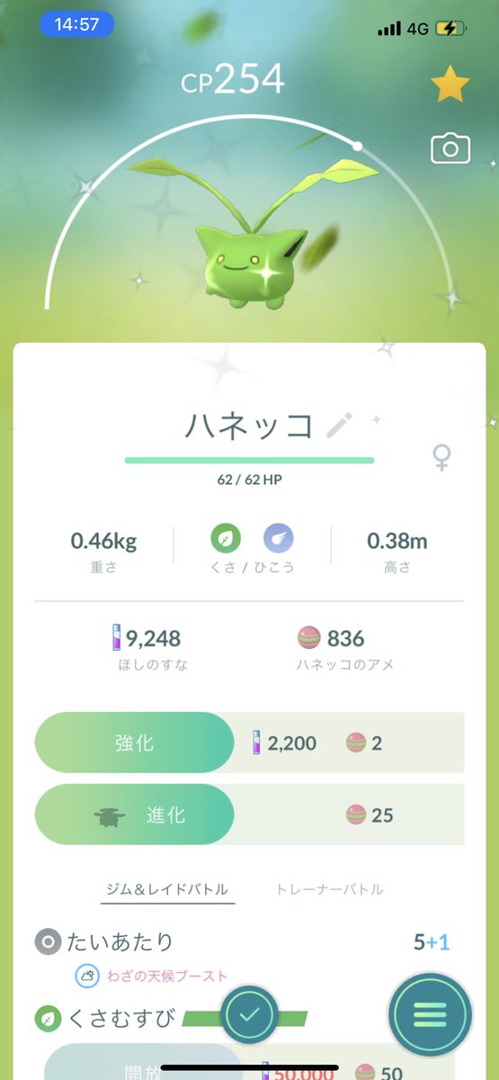 ポケモンgo ホエルオーの入手方法 能力 技まとめ 攻略大百科