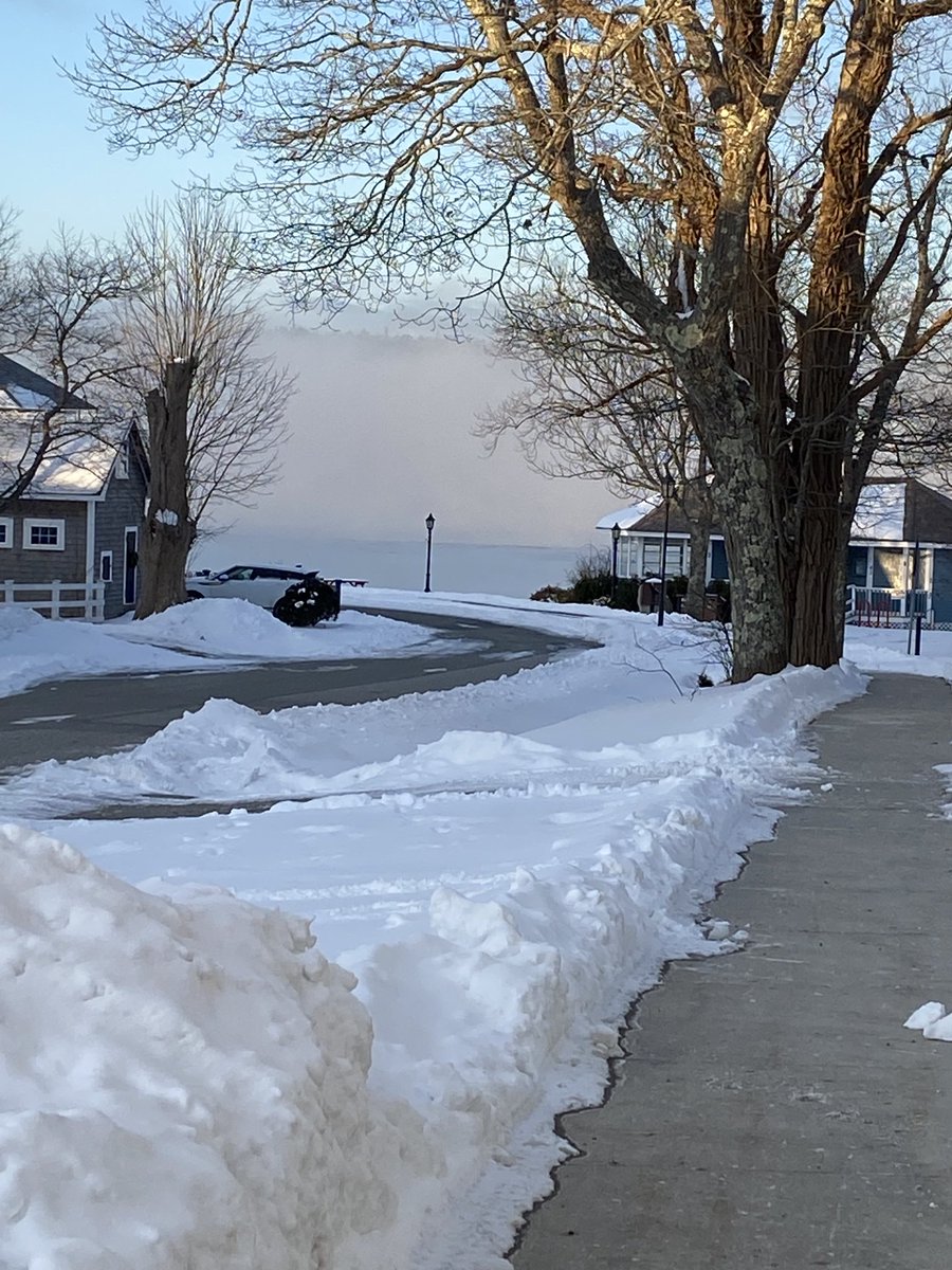 renaudsue's tweet photo. No spring here in Shelburne this morning ⁦@infomorning⁩ https://t.co/zuwqoD4PUi