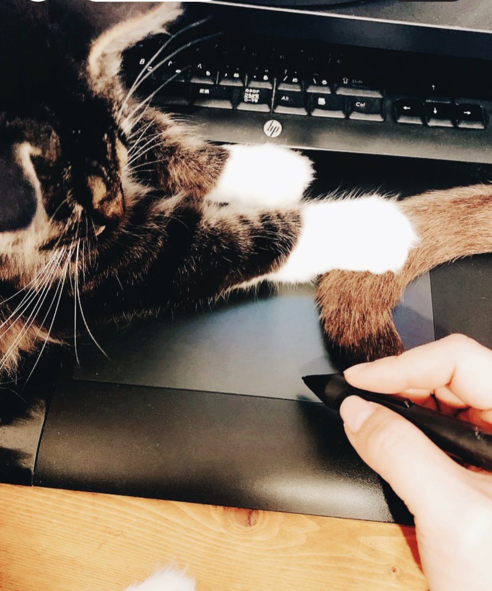 cat holding drawing tablet stylus traditional media animal photo background  illustration images