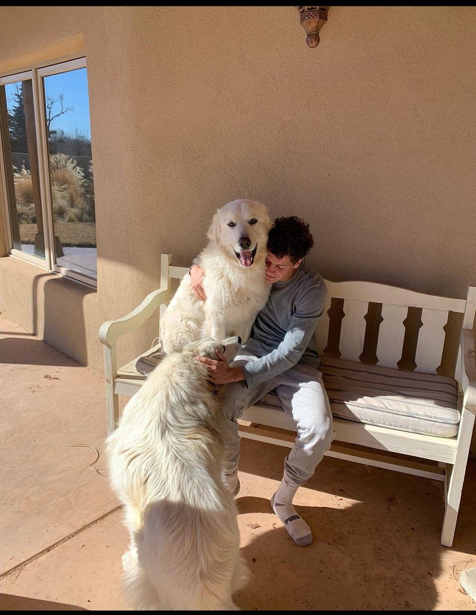 Jacenormanfan45's tweet photo. I love these photos soo much!! ππβ€ I love you so much Jaceπππ @Jacenorman
#jacenorman #normanators https://t.co/OuKAZW6IJq