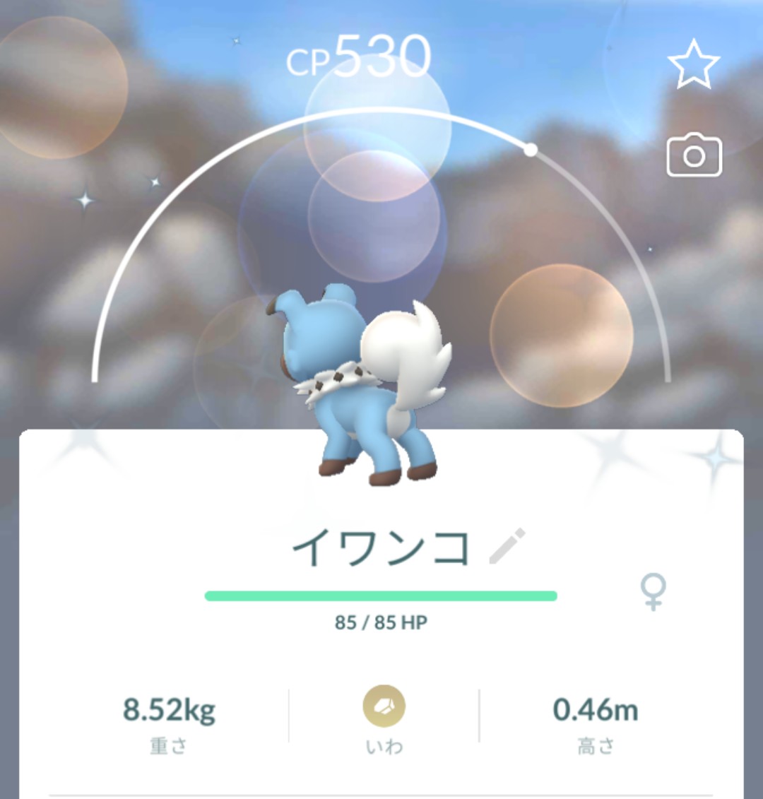 イワンコ色違い Twitter Search Twitter イワンコ色違い Twitter Search Twitter