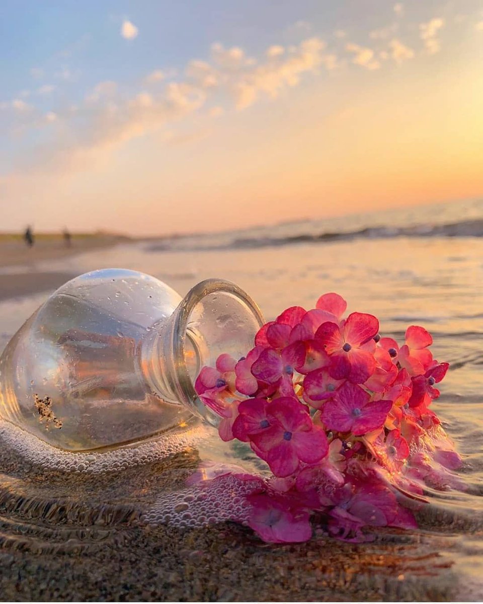 _bluebutrfly_'s tweet image. “Be compassionate,” Morrie whispered. “And take responsibility for each other. If we only learned those lessons, this world would be so much better a place.” 
He took a breath, then added his mantra: “Love each other or die.”🤍 

#tuesdayvibe 
#Tuesdayswithmorrie
#ProphetMuhammad