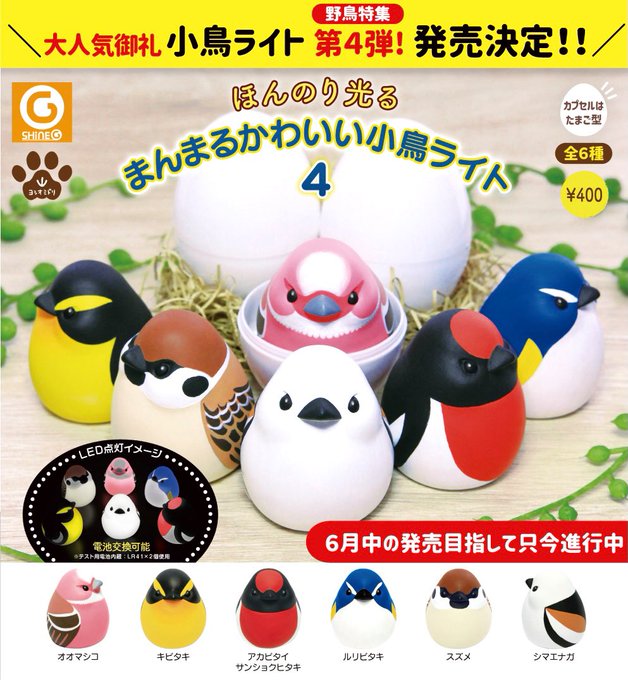 まんまるかわいい小鳥ライト4が6月発売 シマエナガ 雀 ルリビタキなど野鳥が大集合 インコ生活 飼い方 育て方の総合情報サイト
