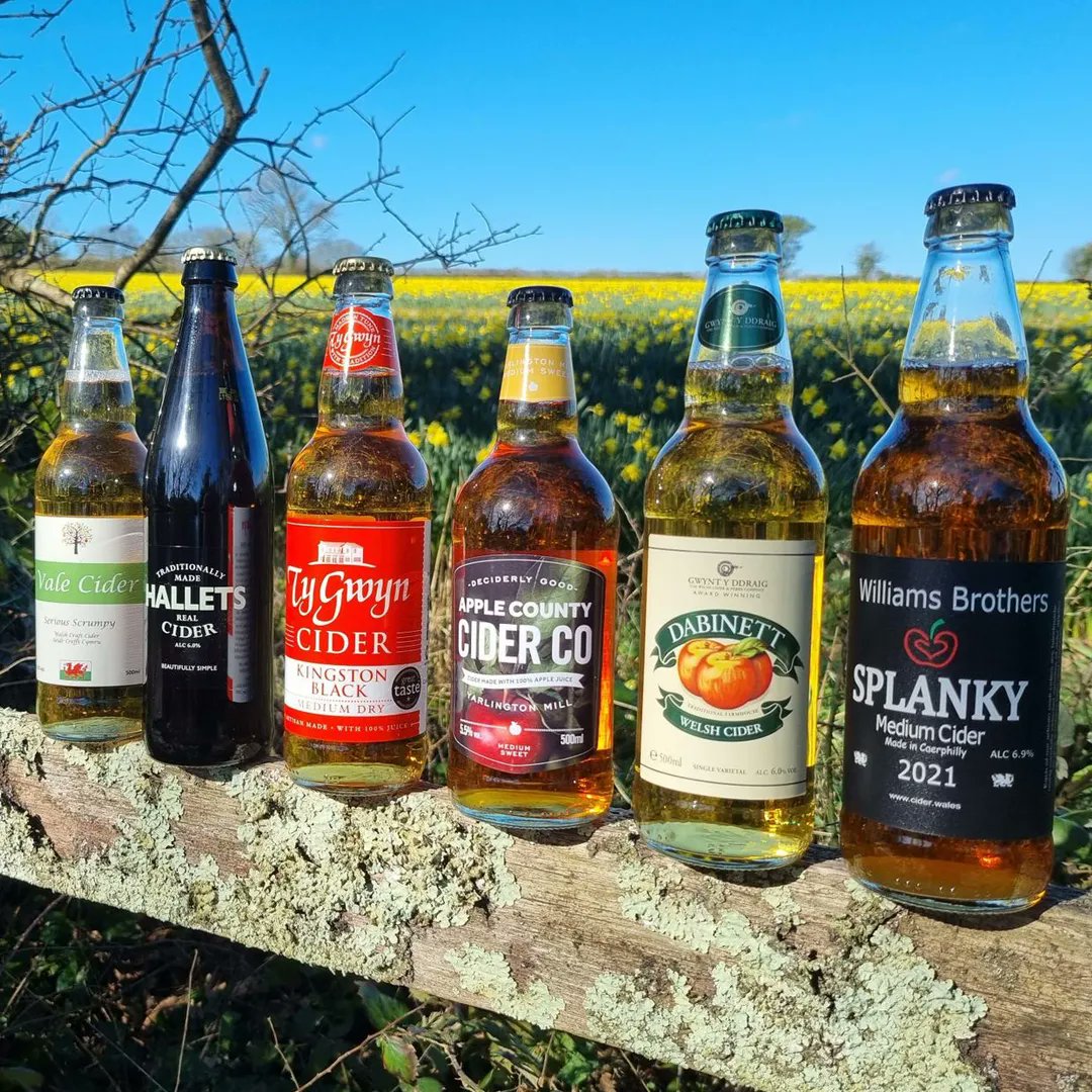 What better way to welcome in March - and what is starting to feel like Spring - than a showcase of fantastic #WelshCider. Our Welsh Cider Case (or Seidr Crefft Cymru) contains 6 belting craft ciders from all across Wales. #IechydDa! bristolcidershop.co.uk/collections/mo…