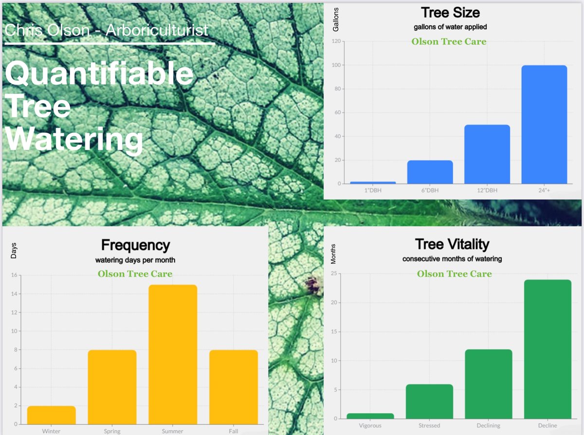 OlsonTreeCare's tweet photo. Urban Tree Watering utilizes water harvesting techniques to assist with shortages and offset the usage of potable water.

Quantifiable Tree Watering is our best form of water conservation.

Season - regulates frequency
Size - regulates volume
Health - regulates duration https://t.co/tGybFIArIU