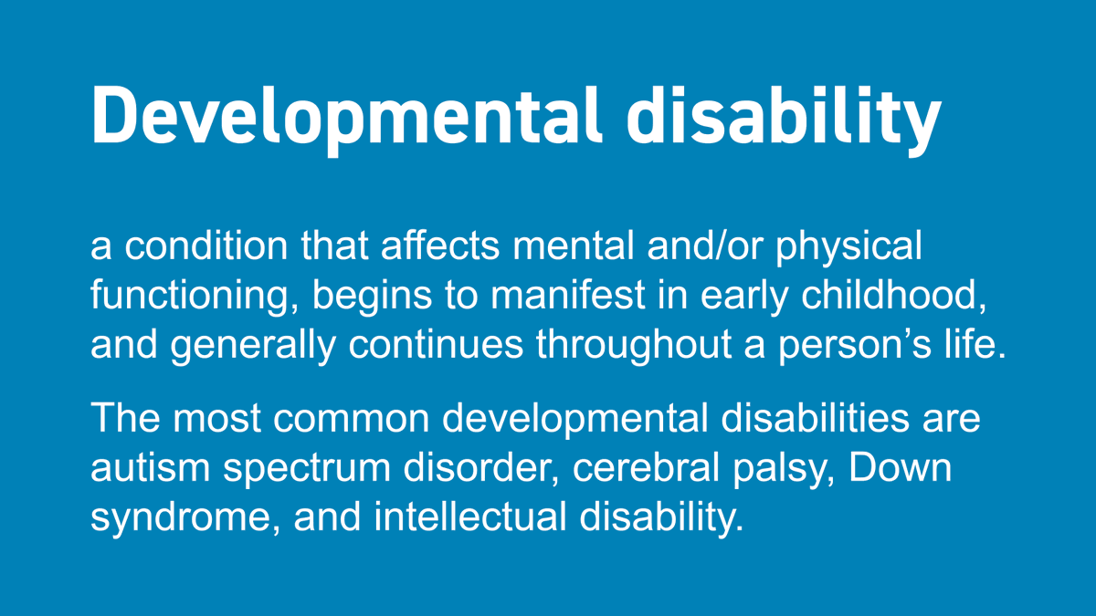 Text reads, "Developmental disability; a condition that affects mental and/or physical functioning, begins to manifest in early childhood, and generally continues throughout a person’s life. The most common developmental disabilities are autism spectrum disorder, cerebral palsy, Down syndrome, and intellectual disability."