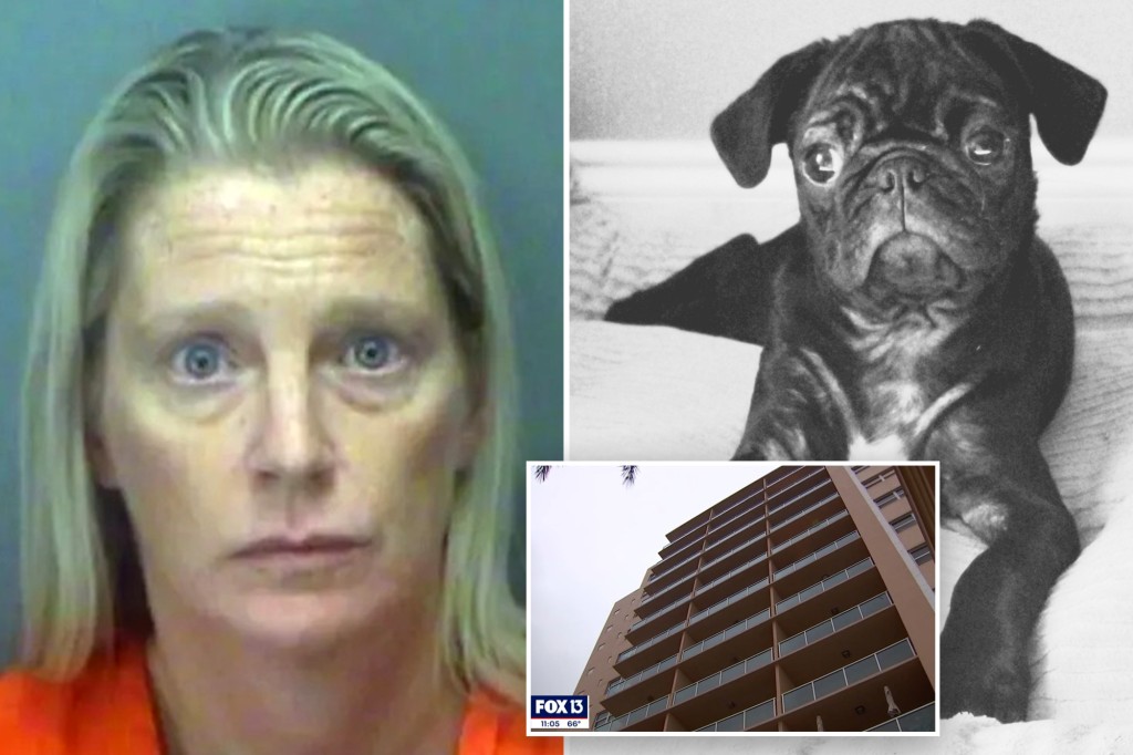 New York Post on Twitter "Florida woman tossed boyfriend's dog off 7th