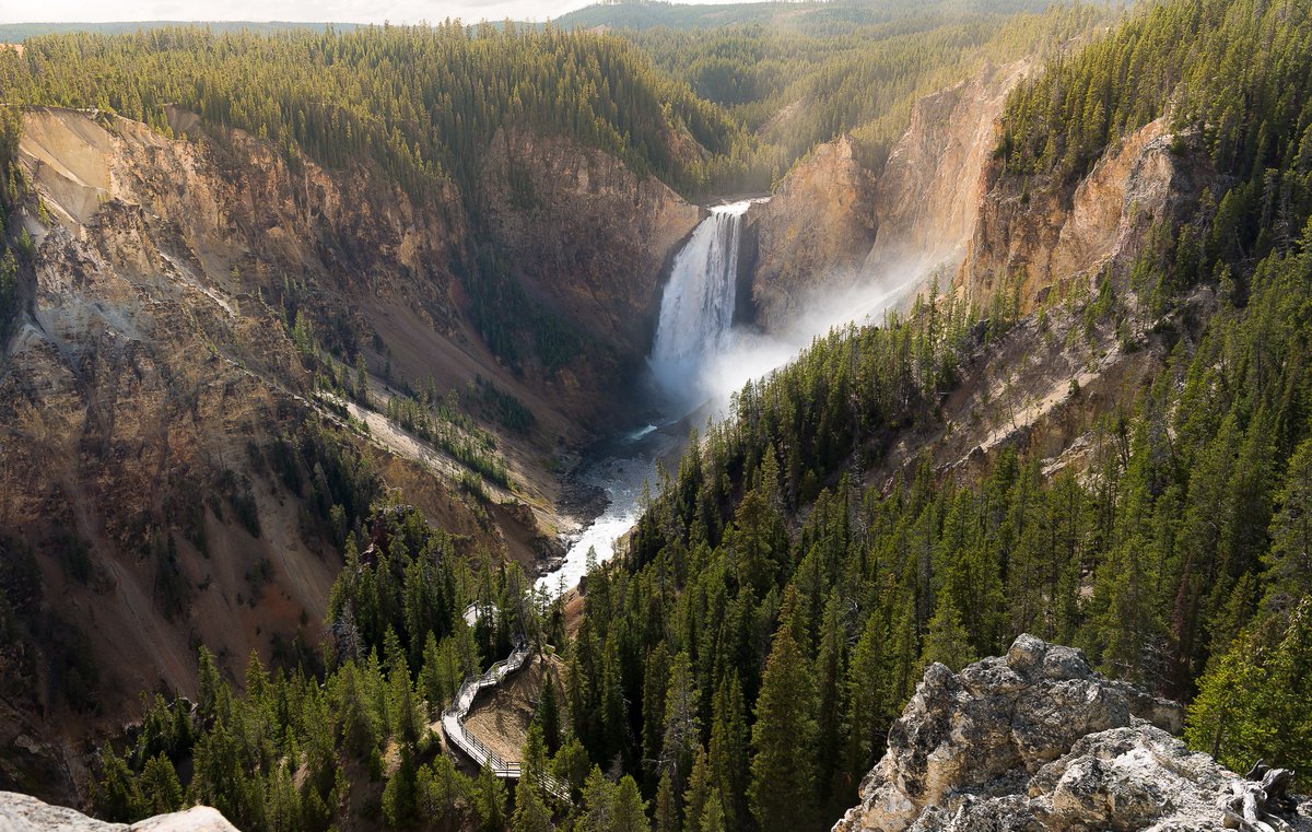 Arbor Day Foundation (@arborday) on Twitter photo 1872 was a big year: Yellowstone National Park was established and the first #ArborDay was celebrated. Happy 150th birthday <a href="/YellowstoneNPS/">Yellowstone National Park</a>! ๐ You don't look a day over 30. 1872 was a big year: Yellowstone National Park was established and the first #ArborDay was celebrated. Happy 150th birthday <a href="/YellowstoneNPS/">Yellowstone National Park</a>! ๐ You don't look a day over 30.