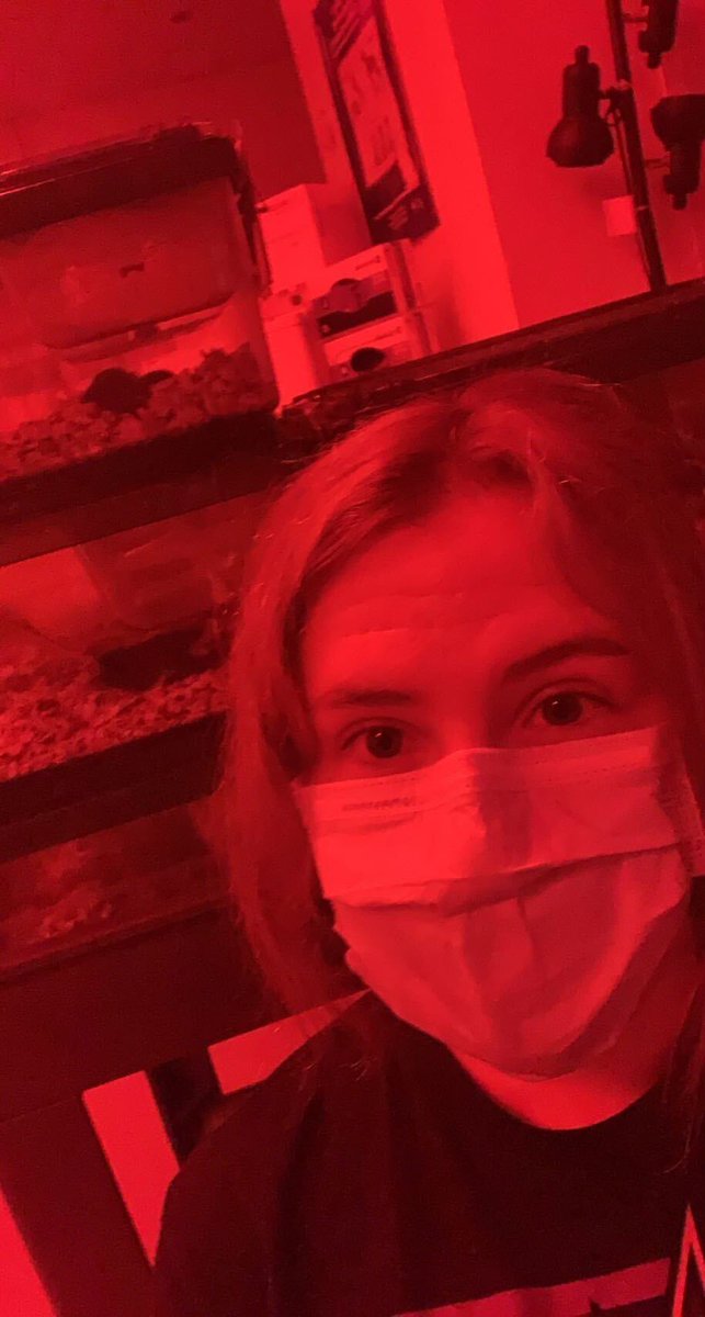 New Mexico Brain Bee tweet media