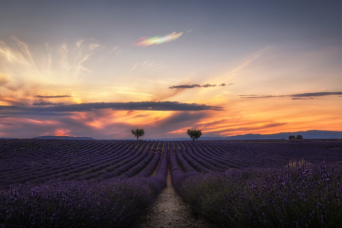 Louis Leroux | Astrophotographe 💫 tweet media