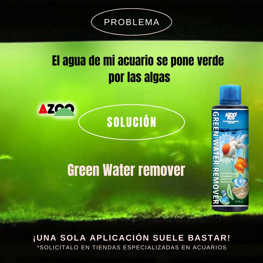 AzooSpain's tweet image. 😀Anticípate a los problemas. 
Ya sabes que con GREEN WATER REMOVER el problema de acuarios verdes, es cosa del pasado.
✔️Lo encontrarás en las mejores tiendas de acuarios. 
.
.
.
#tropicalfish #pecesdeacuario #comosolucionarproblemasdealgas #azooplus #aguaverde