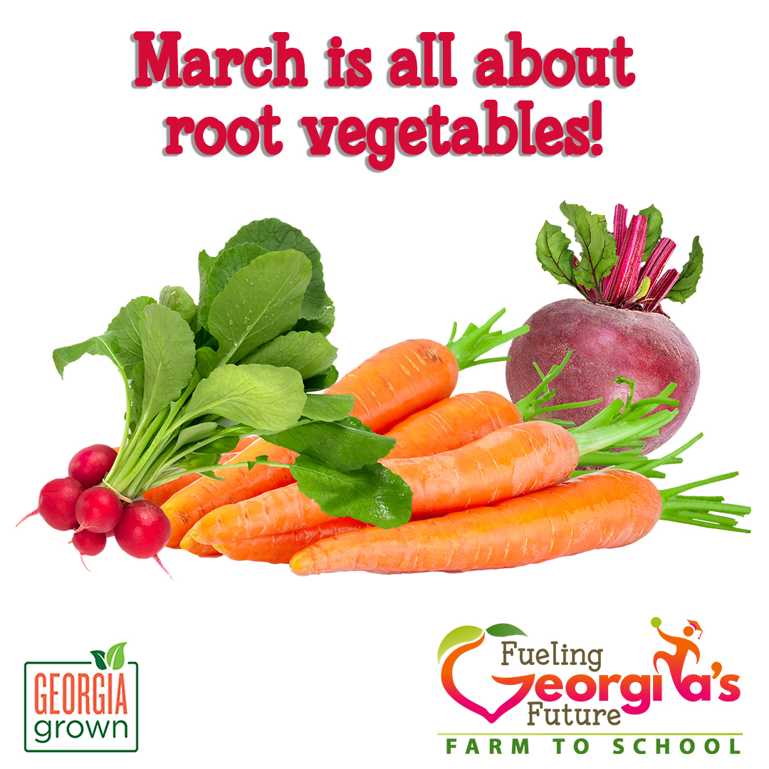 The Georgia #HarvestoftheMonth items for March are #RootVegetables🥕

Find resources to celebrate Harvest of the Month & grow your #FarmToSchool program at bit.ly/GaHOTM 

While you’re there, check out our #FoodBasedLearning Lessons too!

@georgiadeptofed #FuelingGA