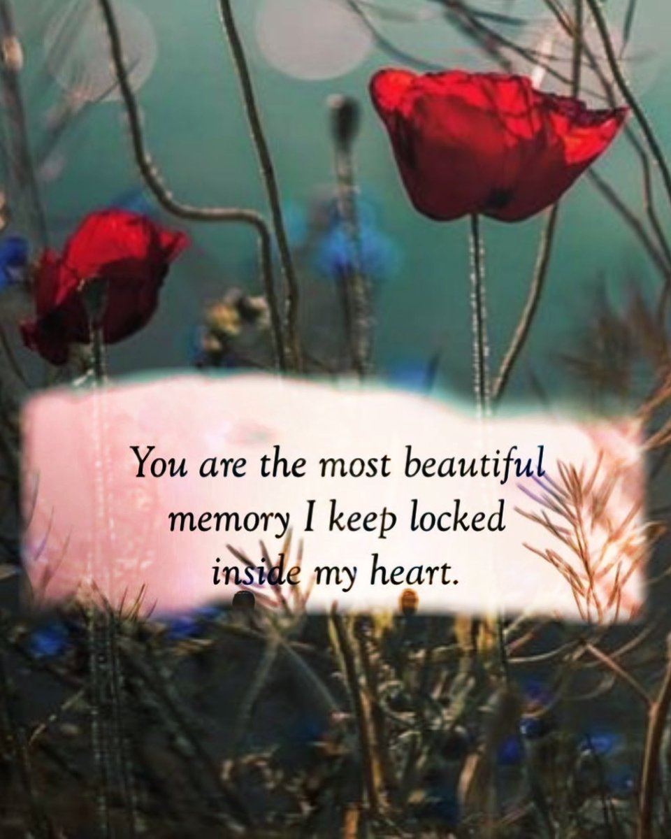 6 months fleeted past, each day felt like eternity without you…a lifetime more to go #SidharthShukla 

Will always love you and pray for you, may you stay happy n blessed in your special world our beautiful star…miss you so much <a href="/sidharth_shukla/">Sidharth Shukla</a> ⭐️💞