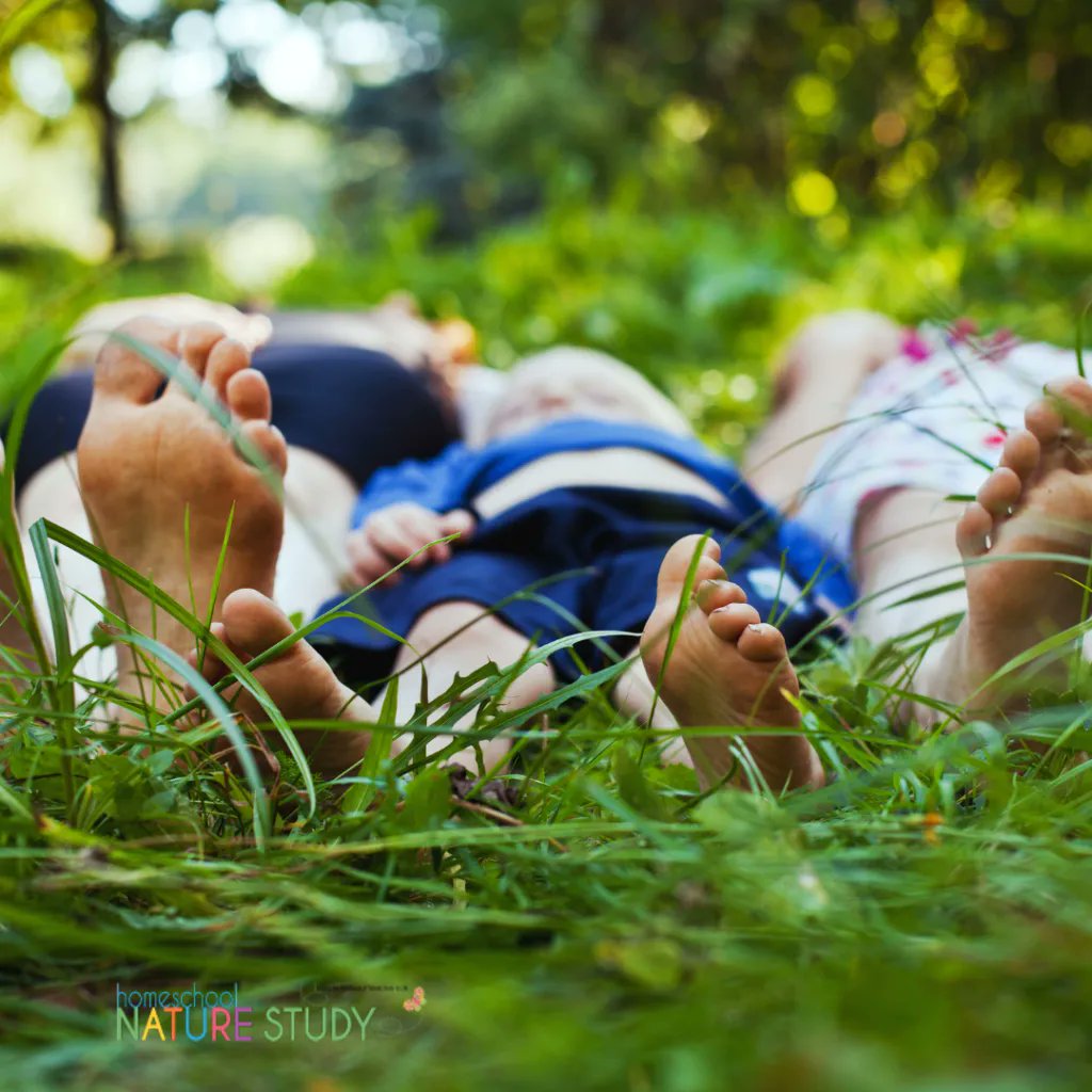 How to Teach Homeschool Nature Study buff.ly/33tnwAs