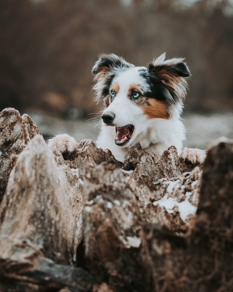 Caption this face for me…best one wins 🤷‍♂️