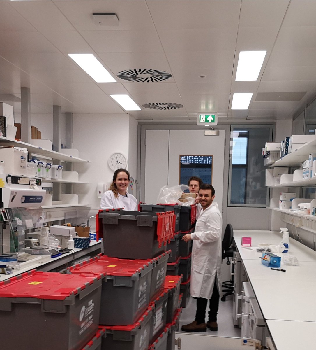 And we're moved into <a href="/CEC_ICR/">Centre for Evolution and Cancer, ICR</a> <a href="/ICR_London/">The ICR</a> (well, kinda). Tremendous work from Annie Baker coordinating everything with <a href="/Kane_Smith1994/">Kane Smith</a> <a href="/MaxMossner/">Max Mossner</a> <a href="/MissAmanda_S/">Amanda Stafford</a> and the rest of the team working very hard. Let the unpacking begin!