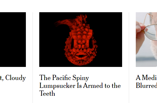 new virtual boy game announced