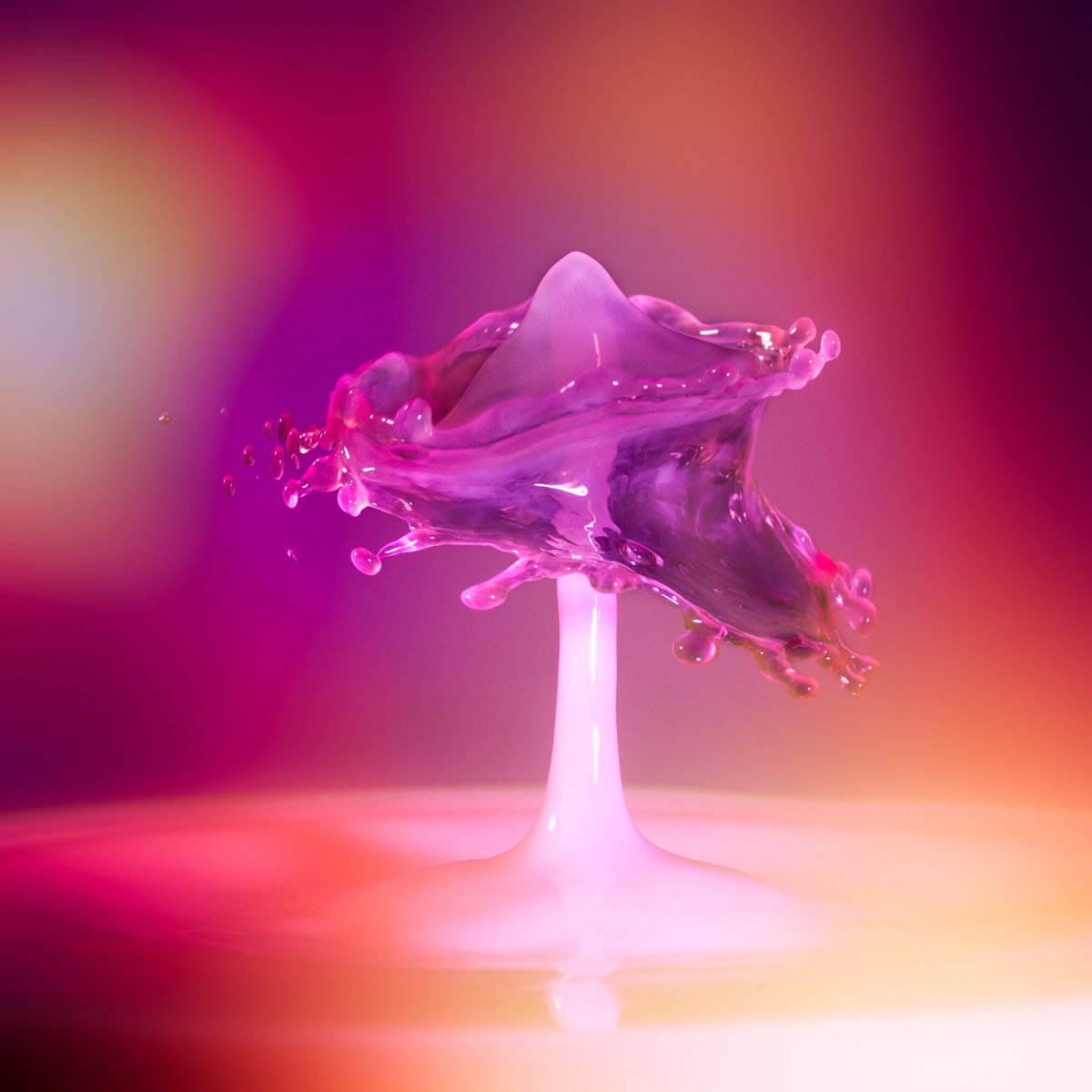 LittleArtPhotag artist tweet media