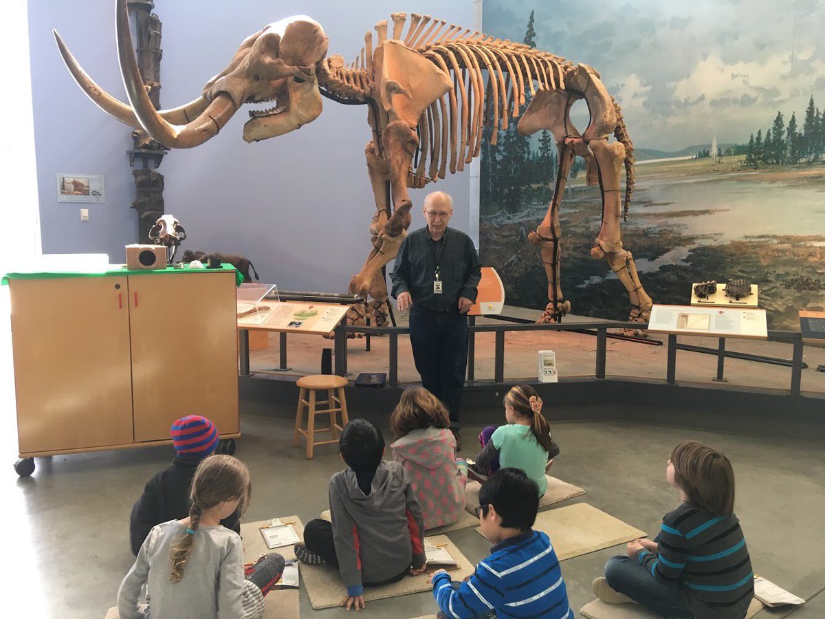 KDTIthaca tweet media