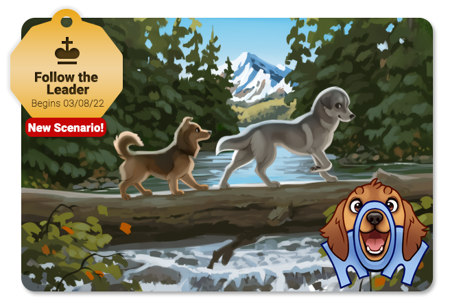 Our new Scenario, Follow the Leader, will release on March 8th! In this scenario, you will be able to walk two dogs at once. Check the in-game news for more info! herdofhounds.com #dogs #videogame