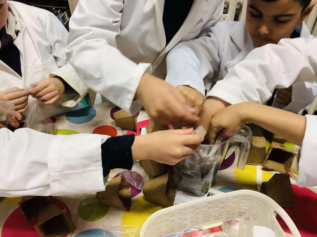 MayflowerSch's tweet photo. Today #KS2 with Sofia have learnt how to grow their own vegetables like peas, radish, beans, spinach and carrots! We have also talked about the benefits of eating vegetables. #scienceclub #learningscienceisfun https://t.co/ckrObxzi4L