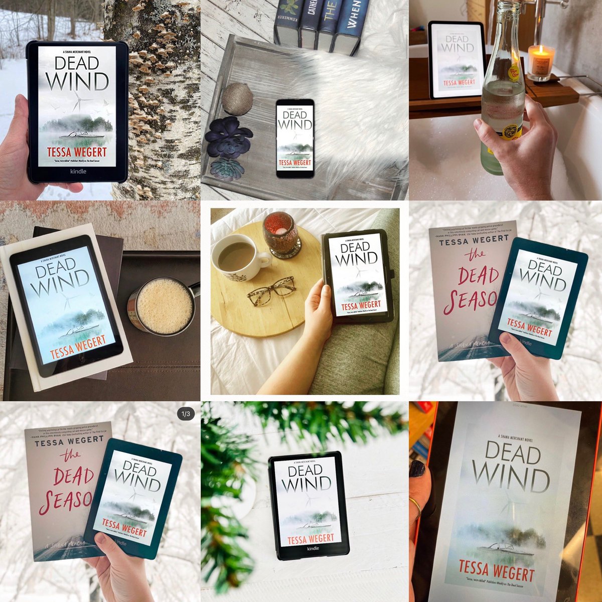 tessawegert's tweet photo. A body found on a Canadian wind farm, a prominent local at the center of a scandal, a NY State Police investigator on the hunt for a serial murderer…it’s ebook pub day for DEAD WIND! https://t.co/11WiycOTp7 https://t.co/3RGnYBqytx
