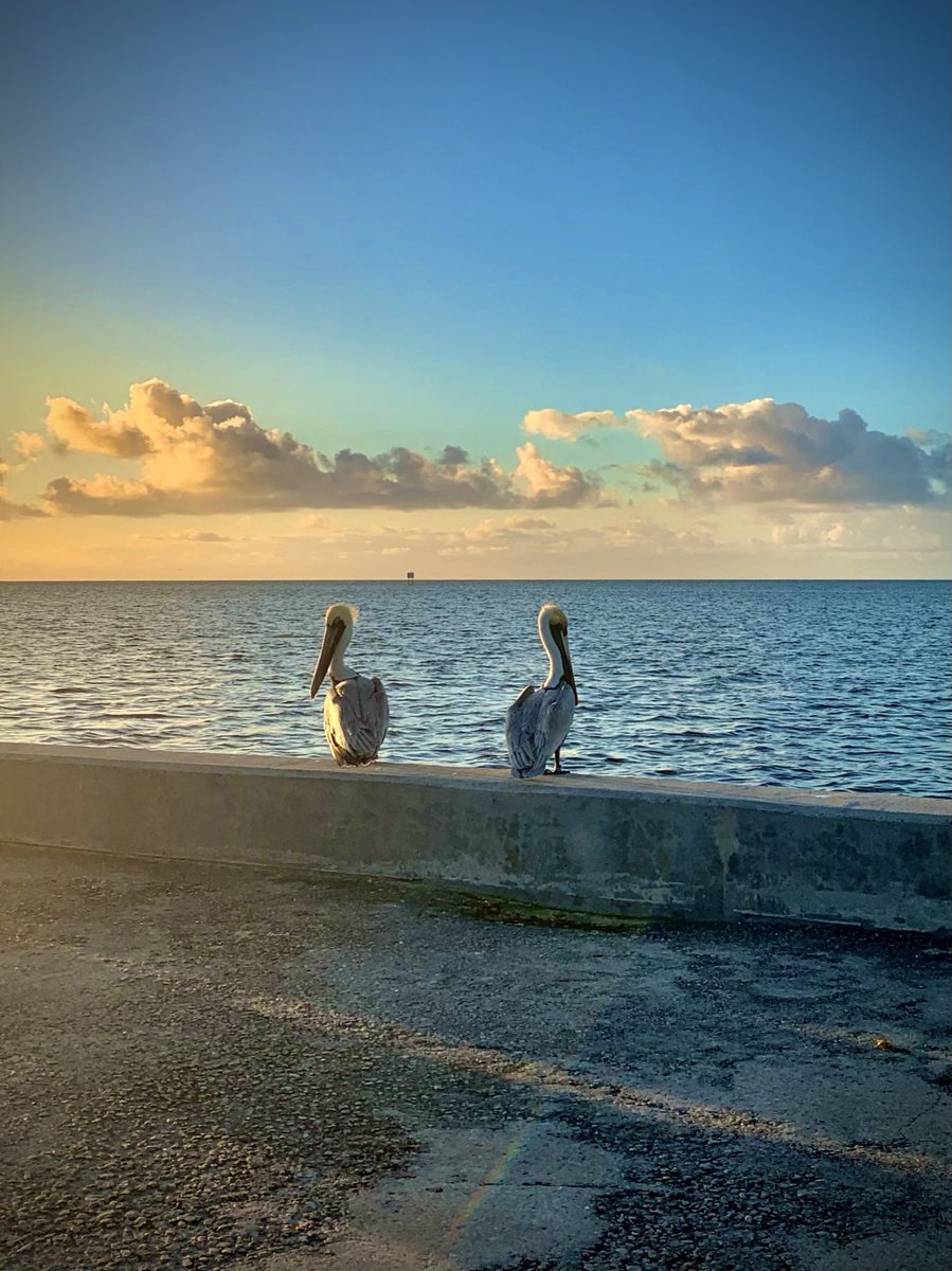 Sammy317's tweet image. Hello March 1st:) #PrayForOneAnother #Peace