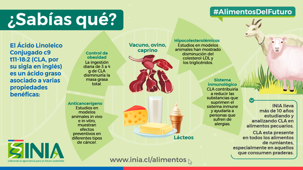 ¿Sabías qué el CLA es un ácido graso asociado a varias propiedades benéficas para el organismo?

Aquí te explicamos el porqué 👇#ÁreaAlimentosdelFuturoINIA 

<a href="/AGarces_F/">Andrea Garcés</a> <a href="/CristyVergara/">Cristy</a> <a href="/bdefilippi/">Bruno Defilippi</a> <a href="/MTeresa82024805/">MTeresa</a>