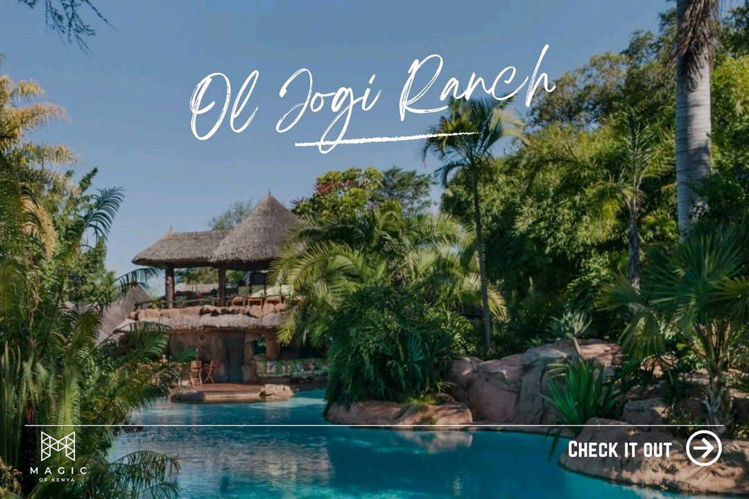 PlacesDigitalKE's tweet photo. Forbes cautions guests at Ol Jogi Ranch to not get too “caught up in the exquisite details”— but to savour the vast Ranch’s “enchanting, incredible and diverse” wildlife. #MagicOfKenya https://t.co/GD0nHwpEbA